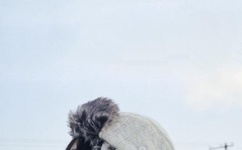 chinese体育生飞机